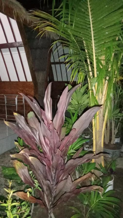 Mirna Homestay กิลิไอร์ ภายนอก รูปภาพ